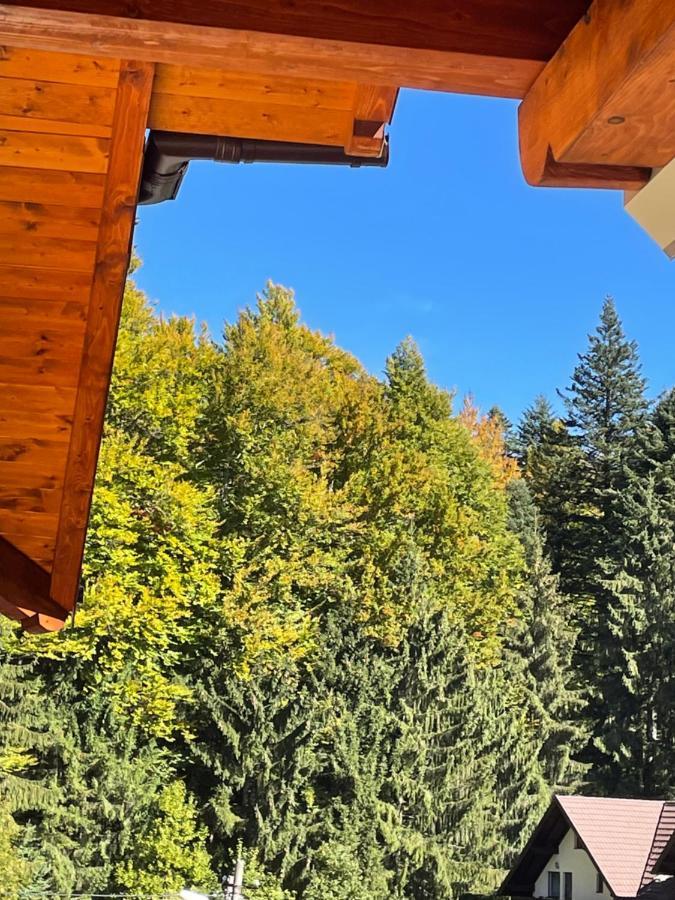 Apartament Lexannona บุชเตนี ภายนอก รูปภาพ